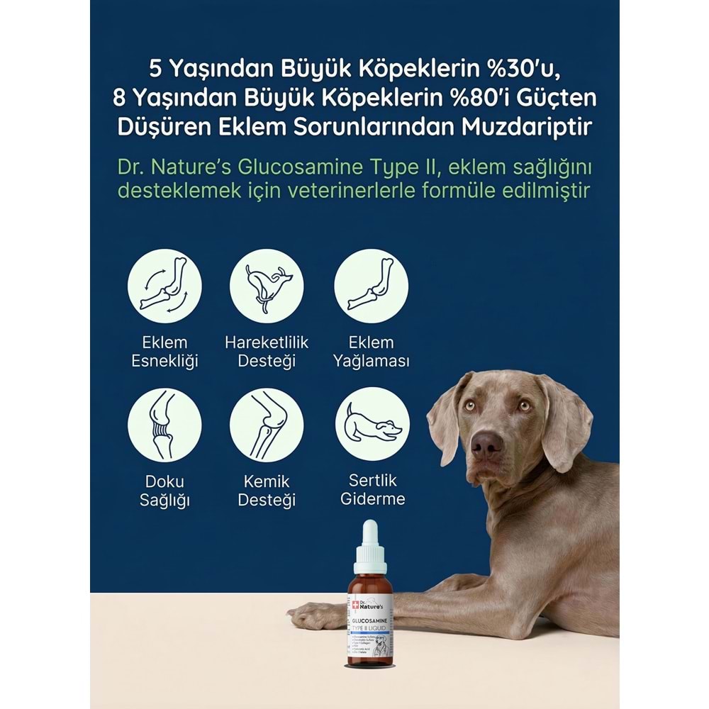 Köpek Eklem Damlası 50 ml – Sıvı Glukozamin, Kondroitin ve MSM Hareket Desteği