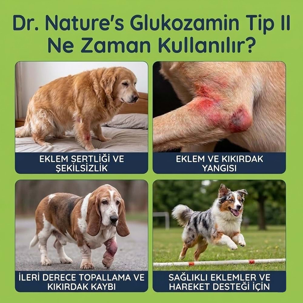 Köpek Eklem Damlası 50 ml – Sıvı Glukozamin, Kondroitin ve MSM Hareket Desteği