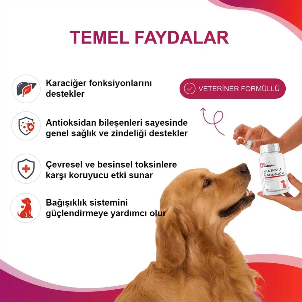 Köpek Karaciğer Destekleyici Tablet 75 Tablet – Milk Thistle (Deve Dikeni) ve Beta Glukan