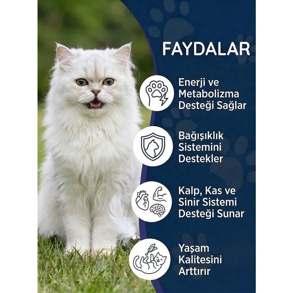 Kedi Multivitamin Likit 50 ml – Taurin ve Omega-3 İçeren Günlük Vitamin Desteği