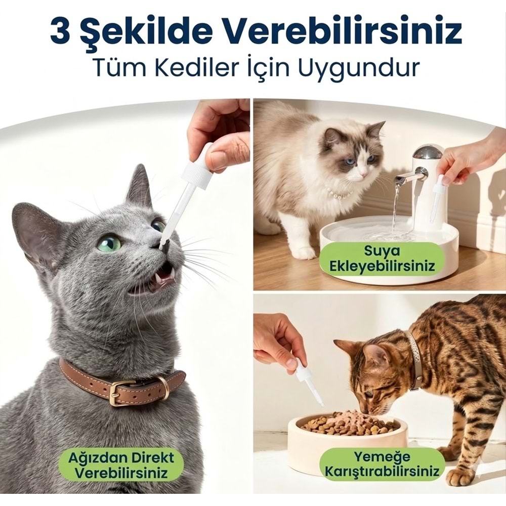 Kedi Tüy Damlası 50 ml – Biotin ve Çinko İçeren Sıvı Deri & Tüy Vitamini