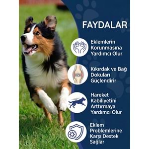Köpek Eklem Damlası 50 ml – Sıvı Glukozamin, Kondroitin ve MSM Hareket Desteği