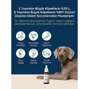 Köpek Eklem Damlası 50 ml – Sıvı Glukozamin, Kondroitin ve MSM Hareket Desteği