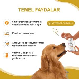 Köpekler İçin B-Complex C Vitamini -Enerji Metabolizması ve Desteği Sağlayan 75 Tablet