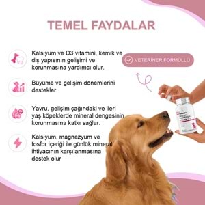 Köpek Kalsiyum 75 Tablet – Kemik ve Diş Gelişimi Destekleyici D3 & Magnezyum