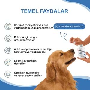 Köpek Glukozamin Tablet 300 Tablet – Eklem Destekleyici MSM Kondroitin İçeren Hareket ve Kıkırdak Desteği