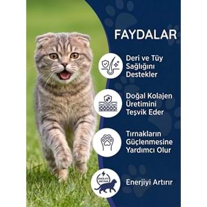 Kedi Tüy Damlası 50 ml – Biotin ve Çinko İçeren Sıvı Deri & Tüy Vitamini