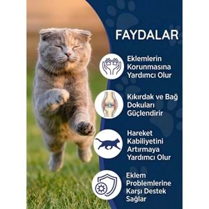 Kedi Eklem Damlası 50 ml – Sıvı Glukozamin, Kolajen ve MSM İçeren Destek ( Kediler için Eklem sağlığı)