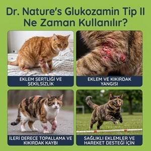 Kedi Eklem Damlası 50 ml – Sıvı Glukozamin, Kolajen ve MSM İçeren Destek ( Kediler için Eklem sağlığı)