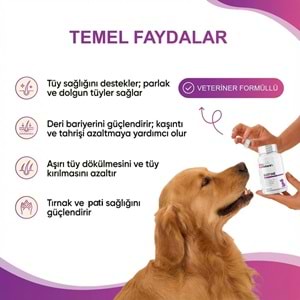 Köpek Biotin Tablet 300 Tablet – Deri ve Tüy Sağlığı Destekleyici