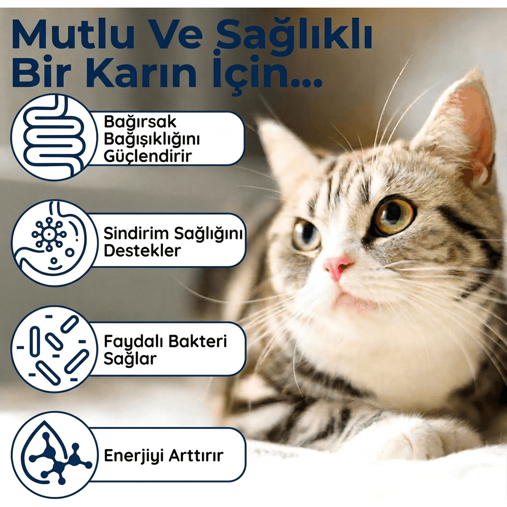 Kedi Probiyotik Damla 50 ml – Canlı Probiyotik İçeren Sindirim Desteği