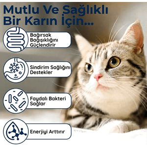 Kedi Probiyotik Damla 50 ml – Canlı Probiyotik İçeren Sindirim Desteği