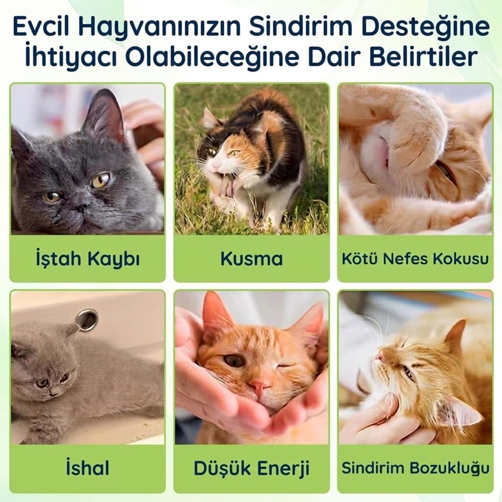 Kedi Probiyotik Damla 50 ml – Canlı Probiyotik İçeren Sindirim Desteği
