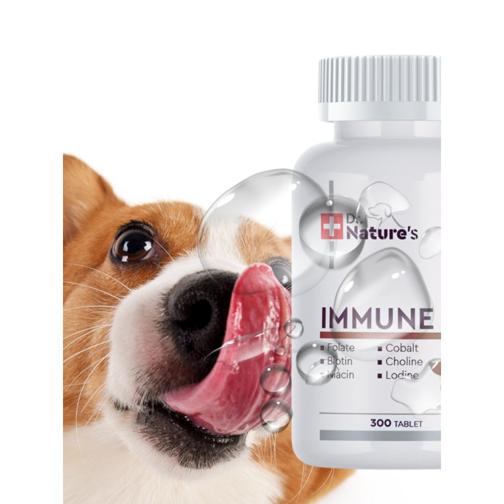 Köpek Multivitamin Immune 300 Tablet – Bağışıklık Sistemi Destekleyici Destek